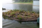 Experimental floating wetlands Experimental floating wetlands