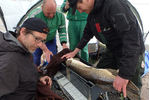 Lake fish telemetry Lake fish telemetry