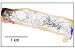 Behaviour of pike Behaviour of pike